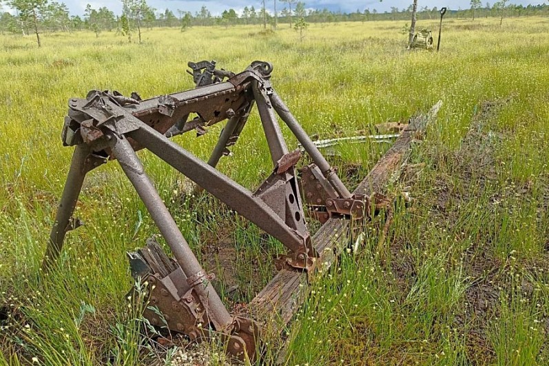 42295.jpg