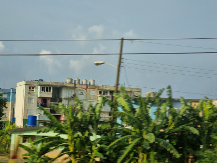 P12.jpg