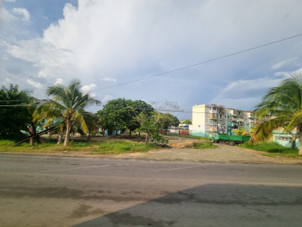 P14.jpg