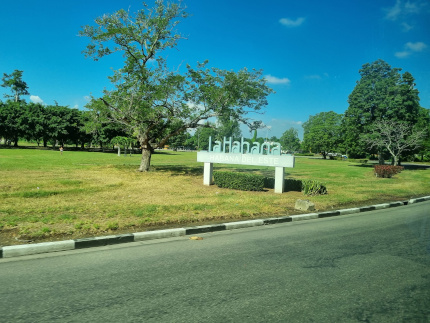 P15.jpg
