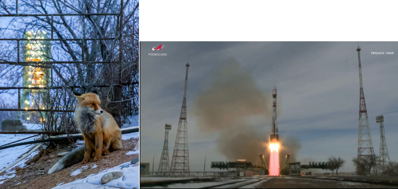 Startjubiläum png.png