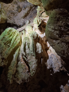 Die bizarre Welt in der Cueva.jpg